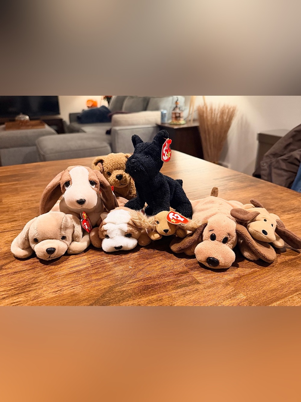 Ty Beanie Babies Plush Dog Collection